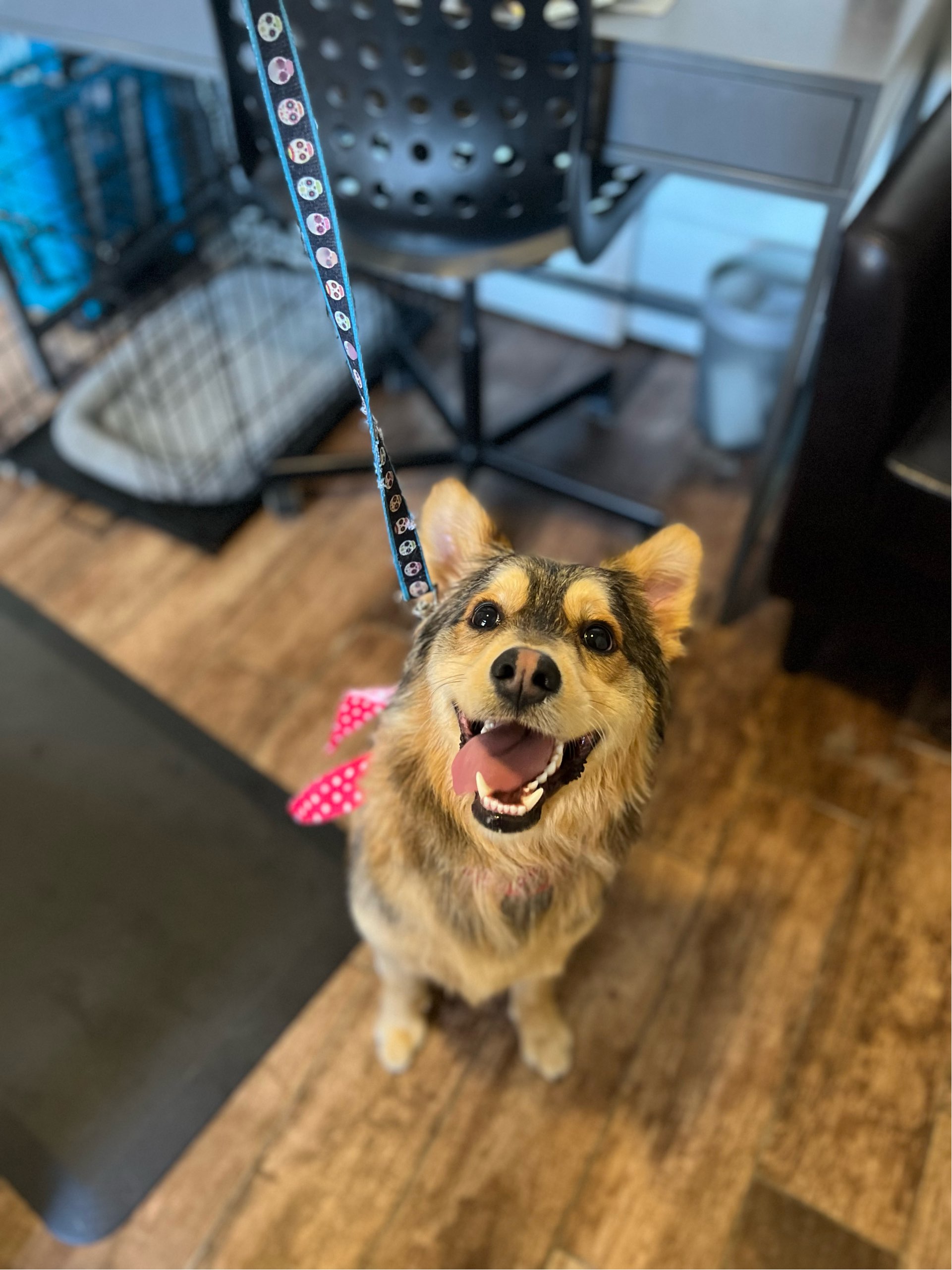 Online booking by GrooMore