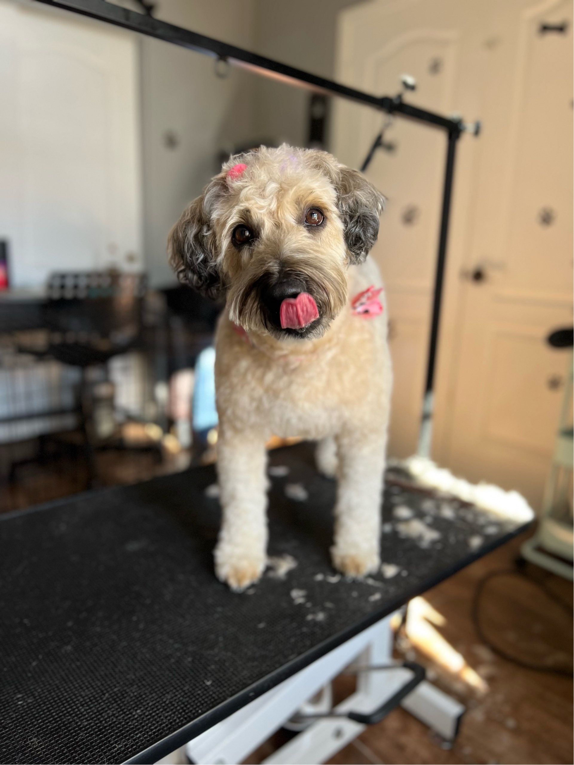 Online booking by GrooMore