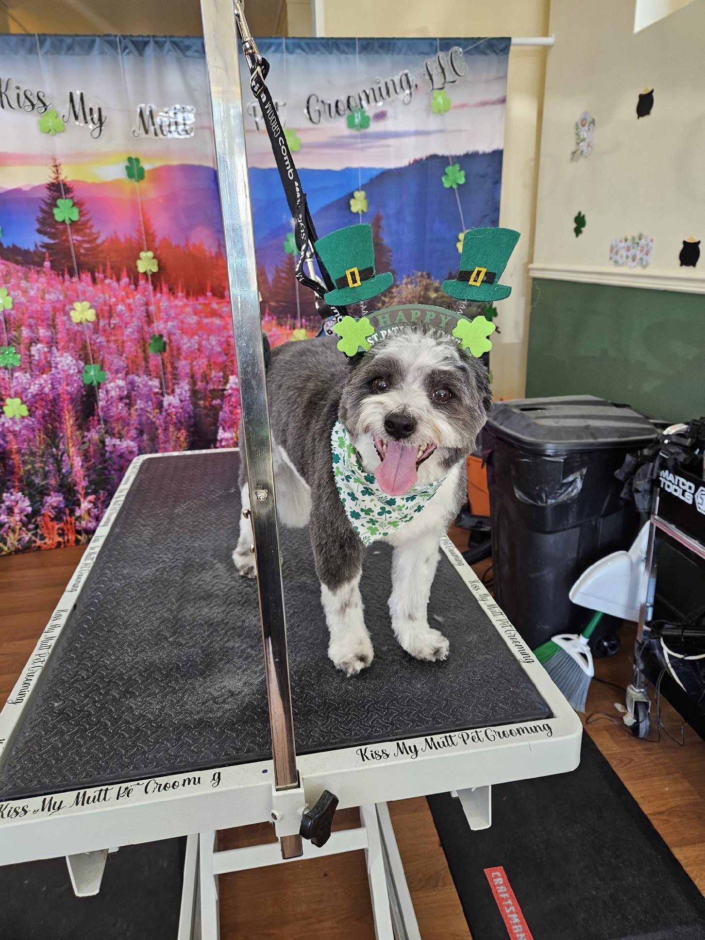 Online booking by GrooMore