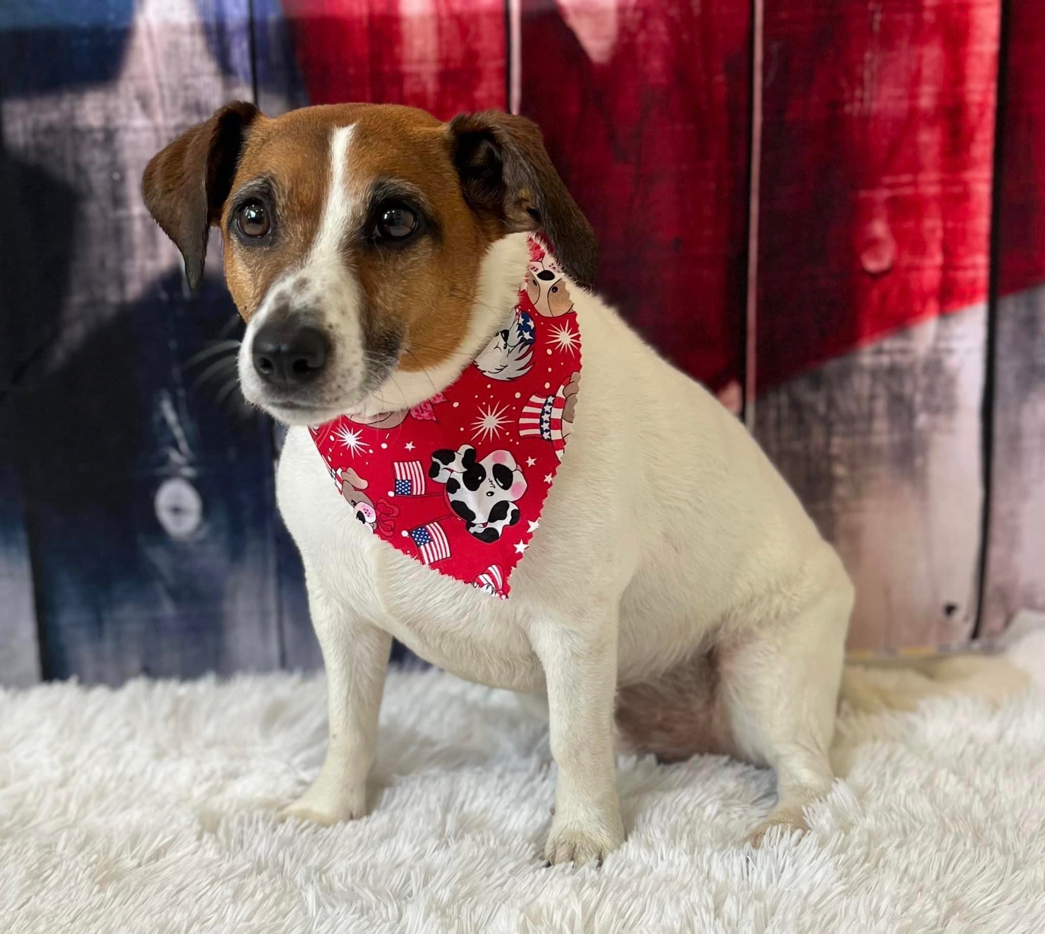 Online booking by GrooMore