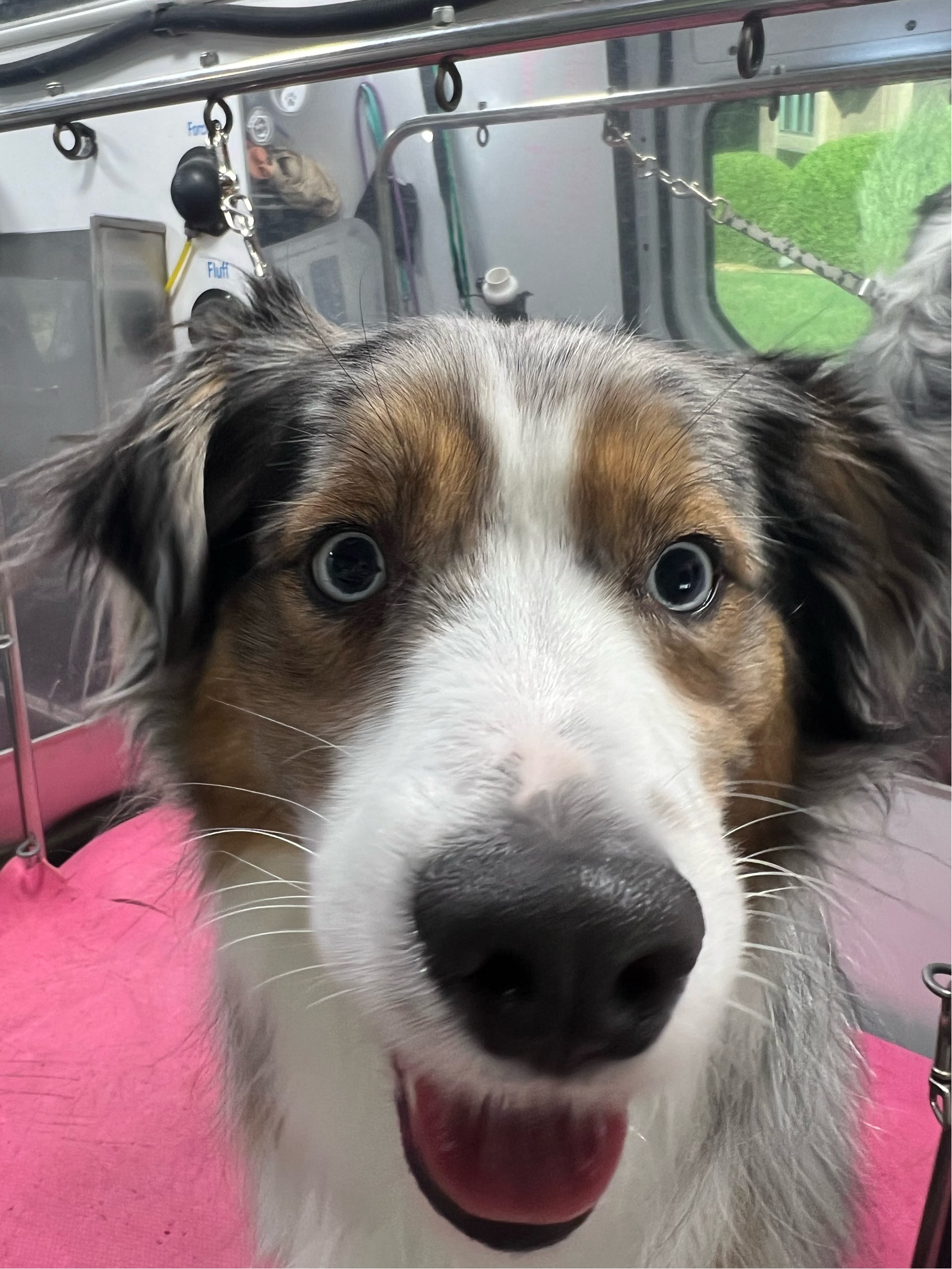 Online booking by GrooMore