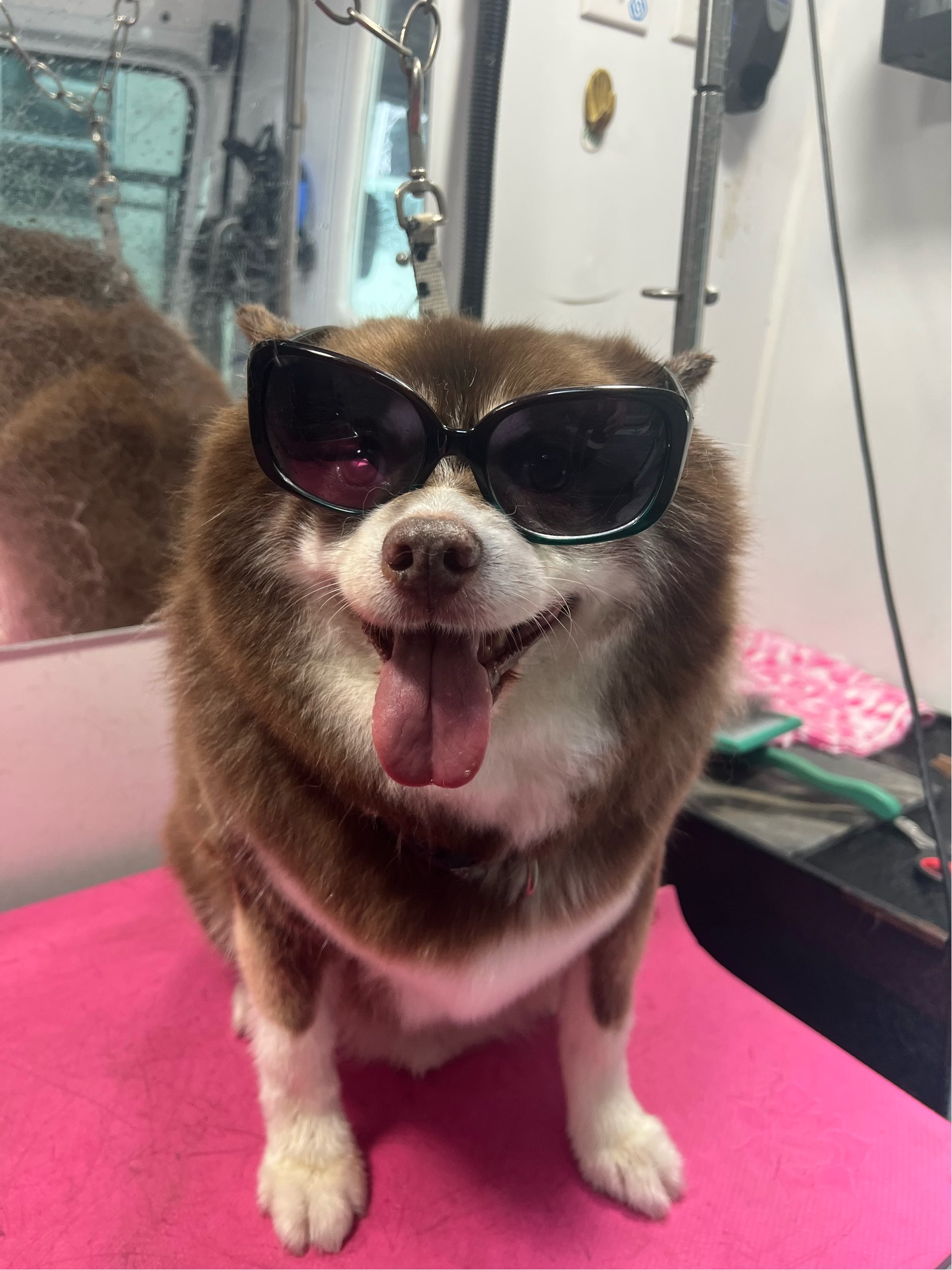 Online booking by GrooMore