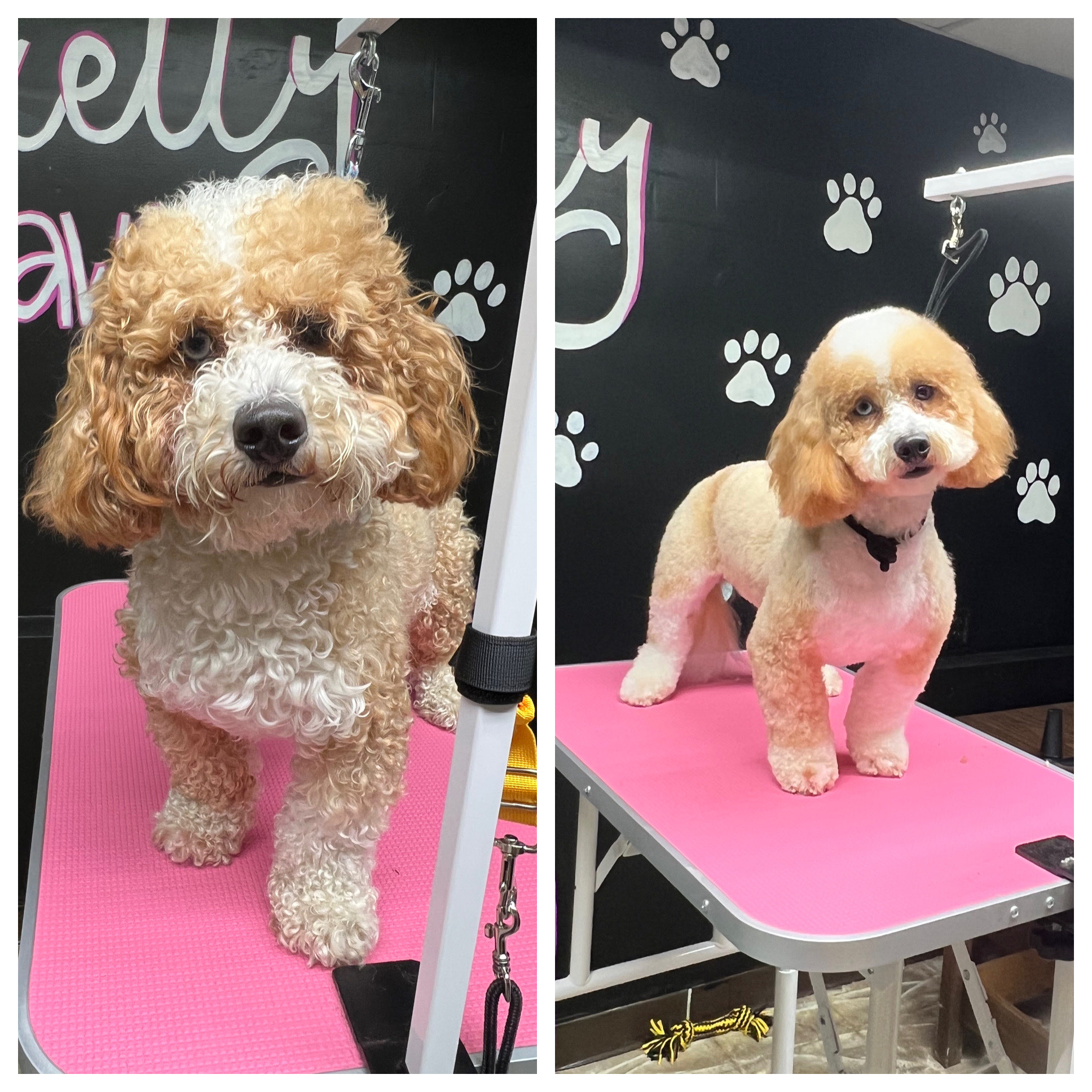 Online booking by GrooMore