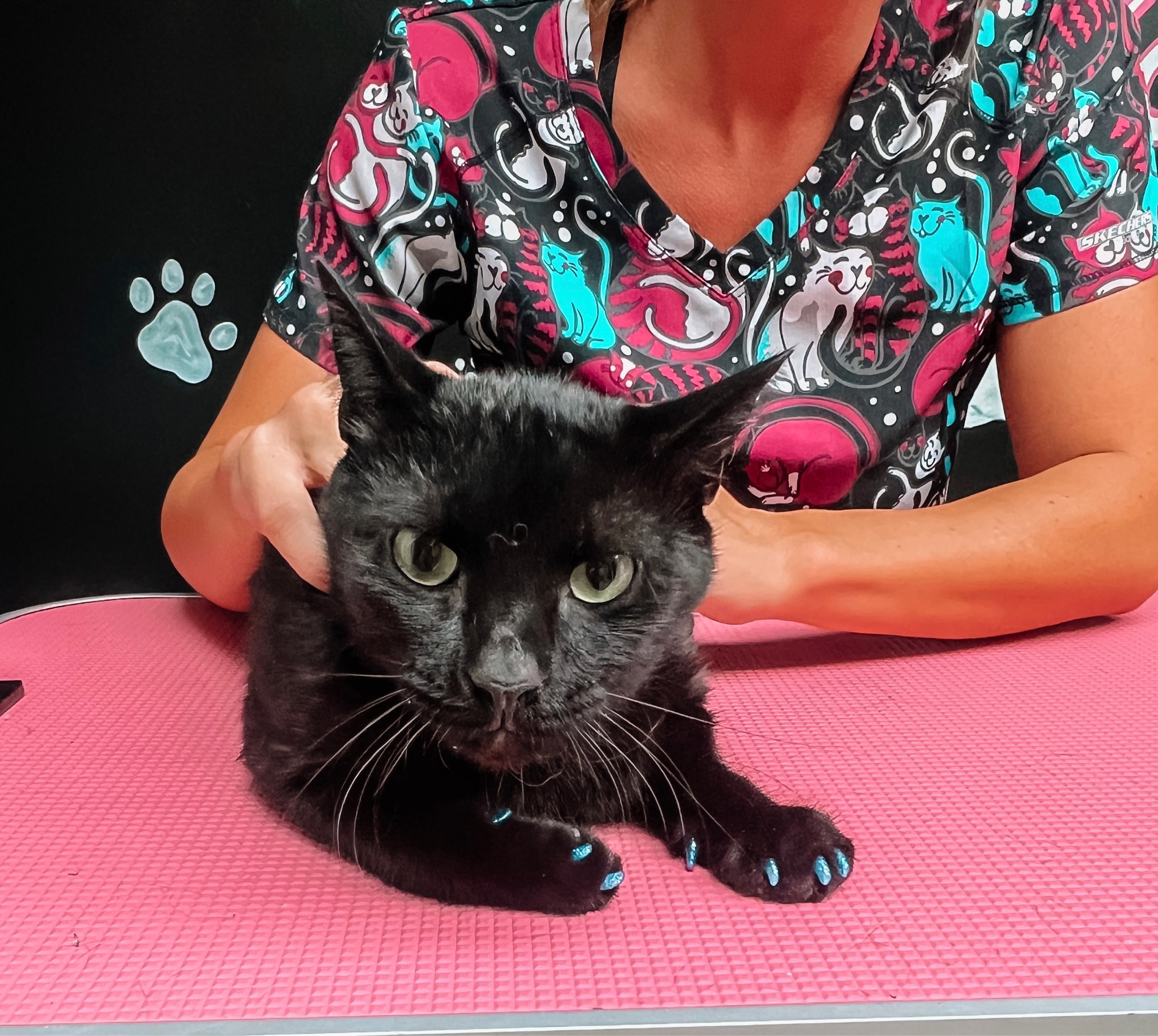 Online booking by GrooMore