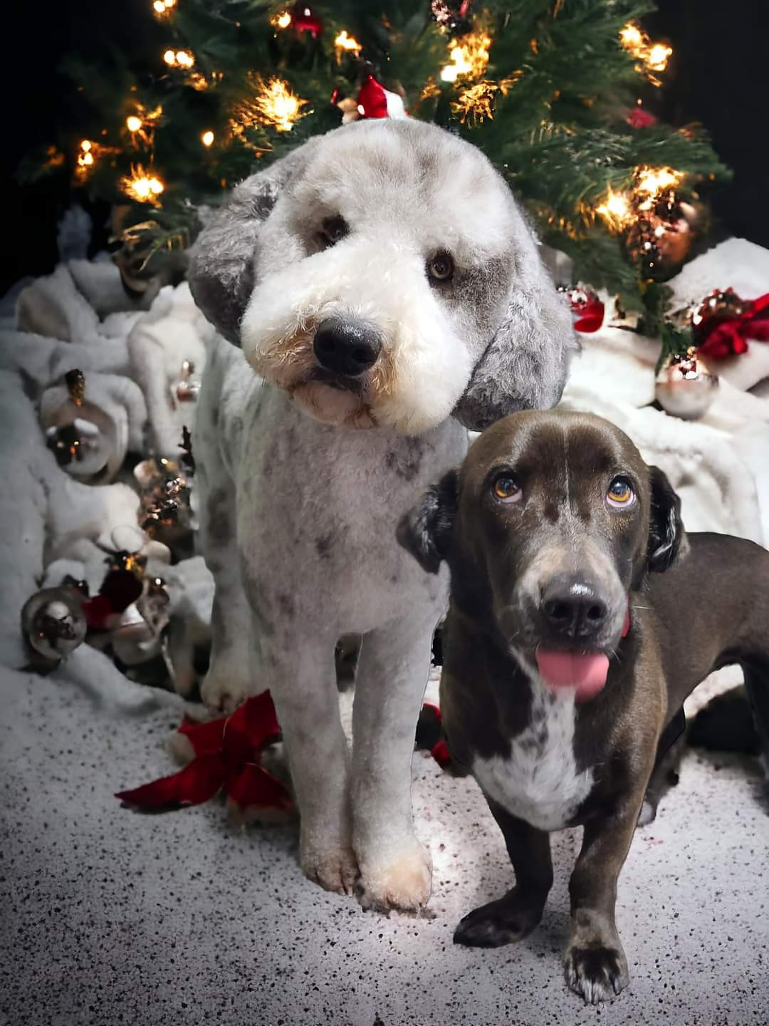 Online booking by GrooMore