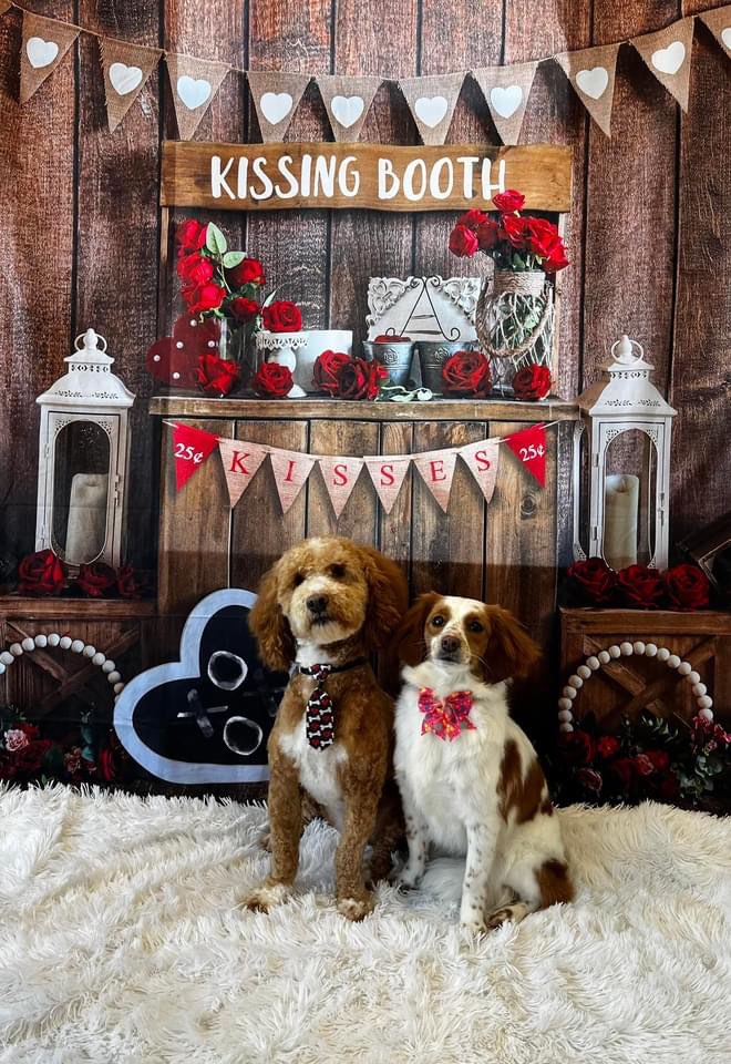 Online booking by GrooMore