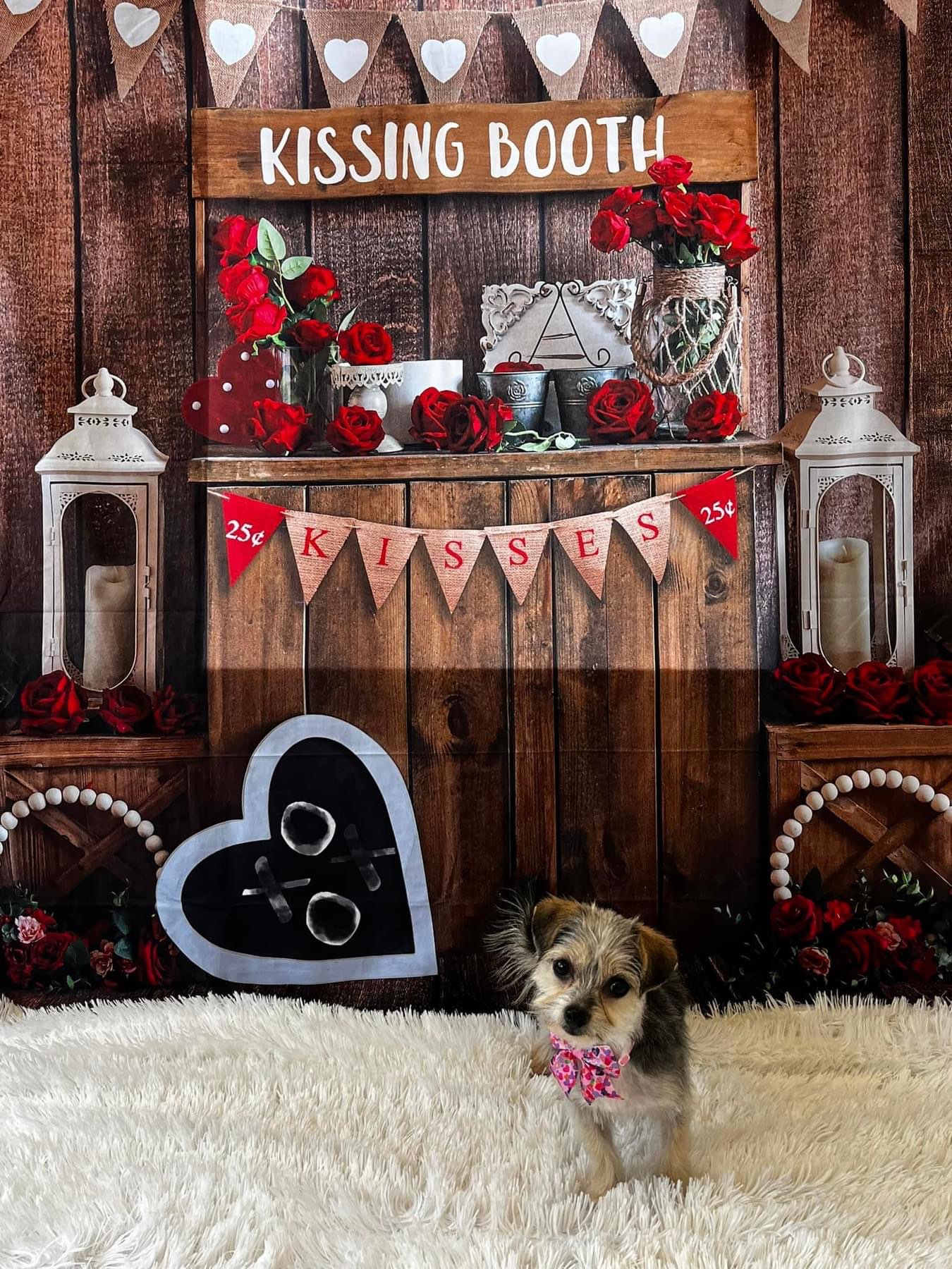 Online booking by GrooMore