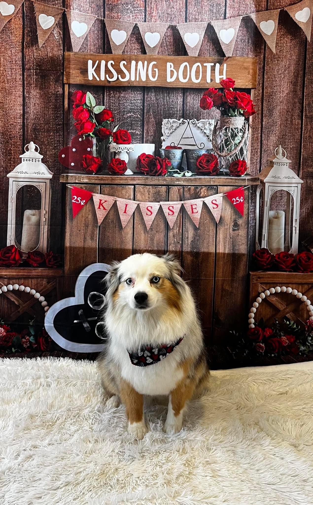 Online booking by GrooMore