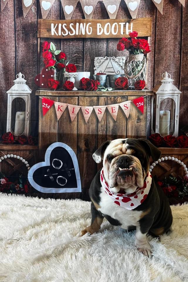 Online booking by GrooMore