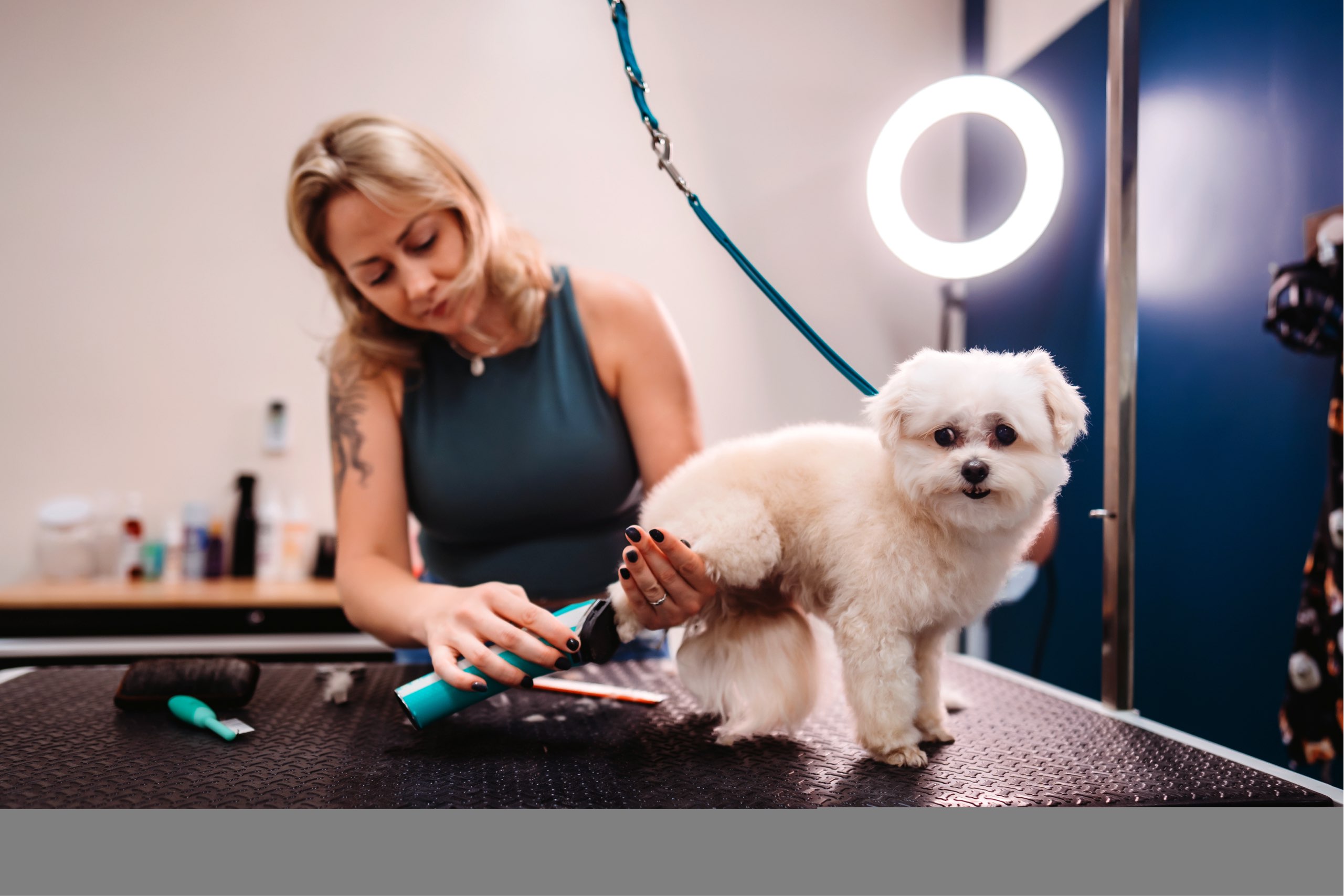 Online booking by GrooMore